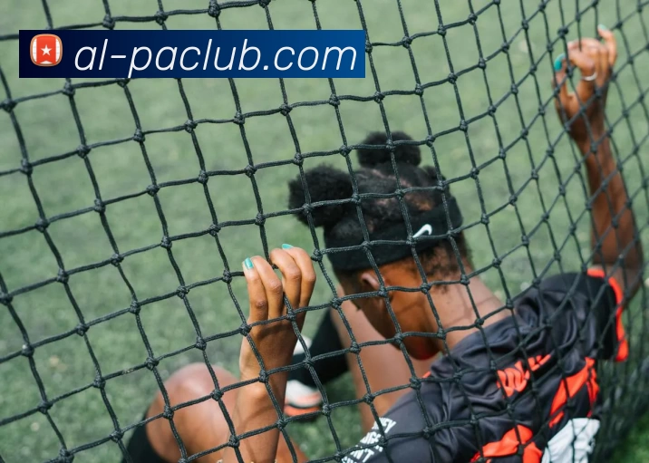 PA试玩游戏平台平台生态图