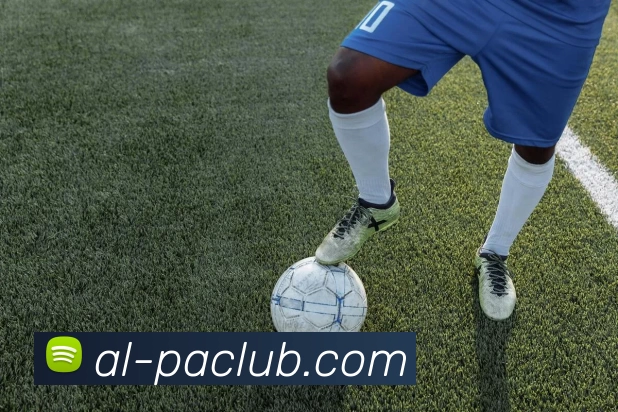 PA试玩游戏平台全站App