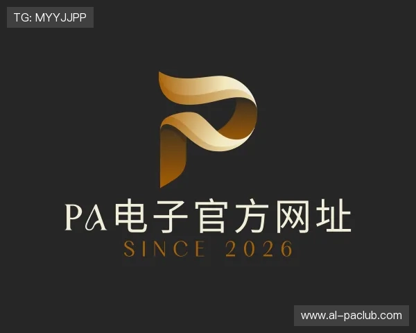 解读PA电子官方网址